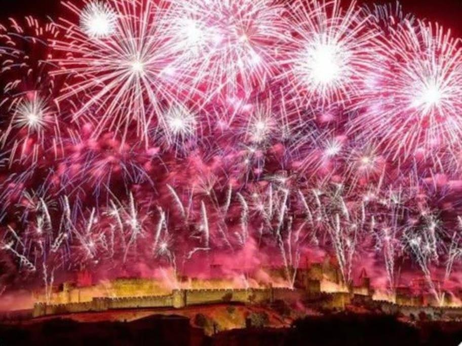 Dame Carcas Leilighet Carcassonne Eksteriør bilde