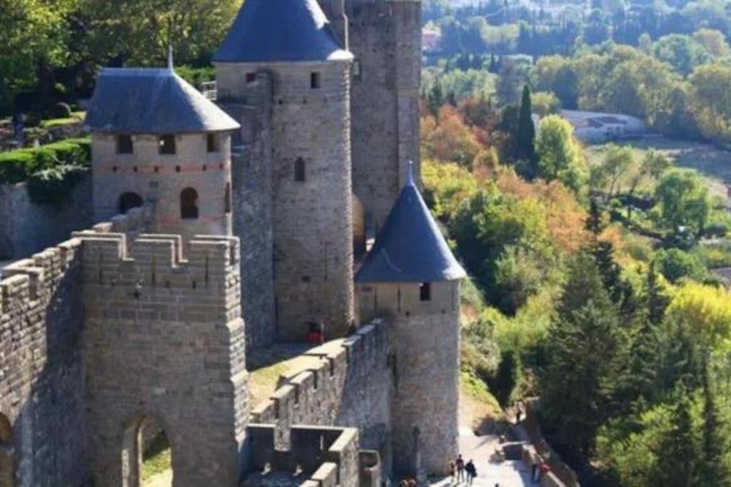 Dame Carcas Leilighet Carcassonne Eksteriør bilde